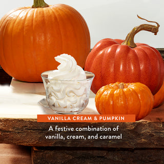 Conditioner