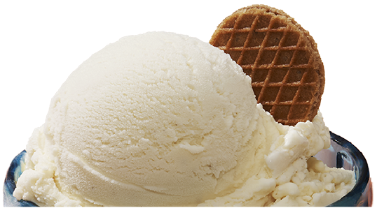 Italian Vanilla Gelato