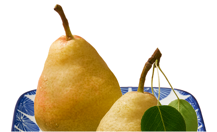 Japanese Golden Pear