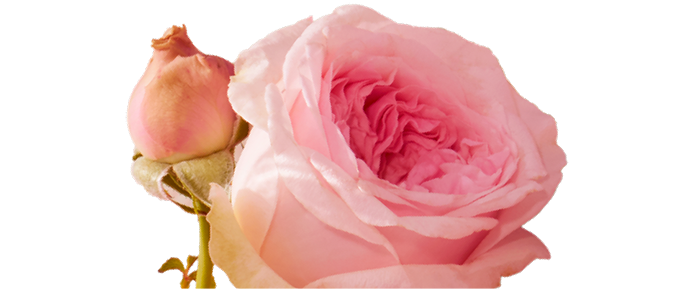 Turkish Rose Water