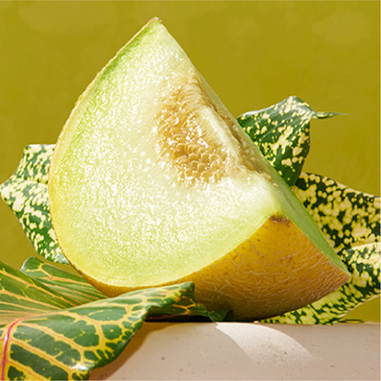 Brazilian Honey Melon