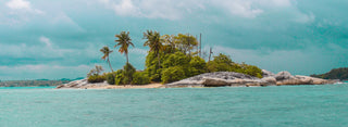 Small island with palm trees surrounded by clear blue water
