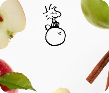 Peanuts Fall Collection | Seasonal Scents & Body Care | Native