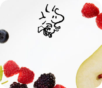 Peanuts Fall Collection | Seasonal Scents & Body Care | Native