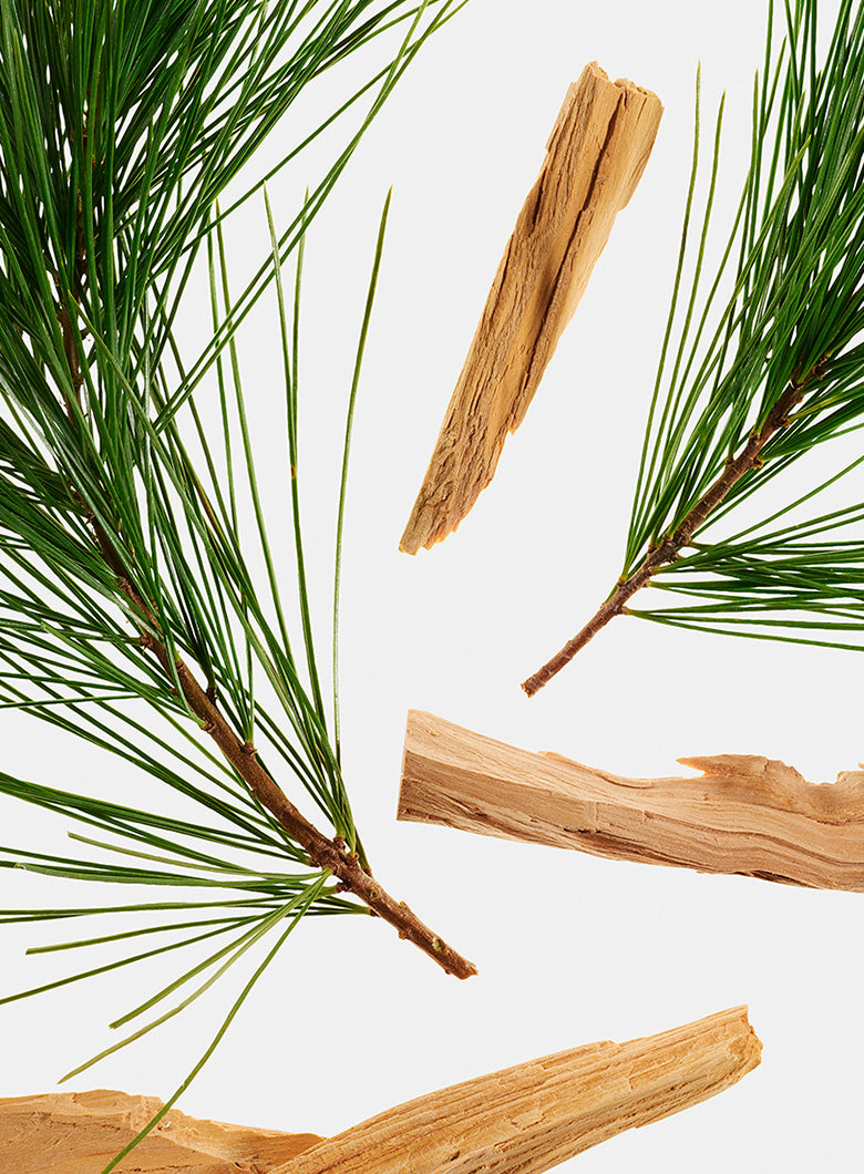 Scents you'll love