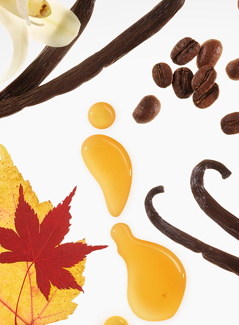 A styled flat-lay of vanilla bean pods, roasted coffee beans, golden amber liquid droplets, and autumn leaves on a clean white background.