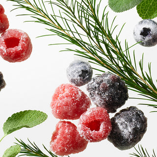 Sugar-dusted frozen berries and green leaves arranged on a white background, including red raspberries, dark blueberries, and blackberries with pine needles.