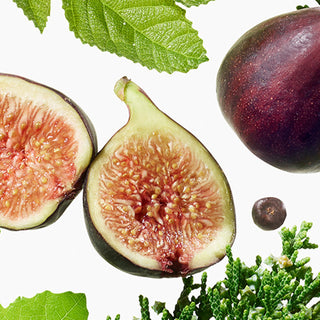 Fresh figs on a white background, including a whole dark purple fig, two halves cut open to show pinkish-red flesh and seeds, green fig leaves, and green foliage.