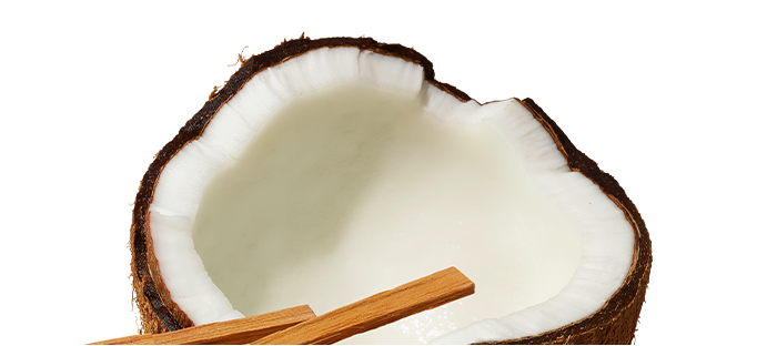 Sandalwood & Coconut