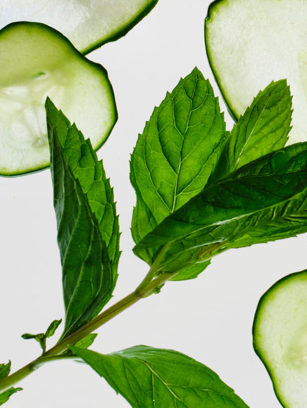 Fresh & Green