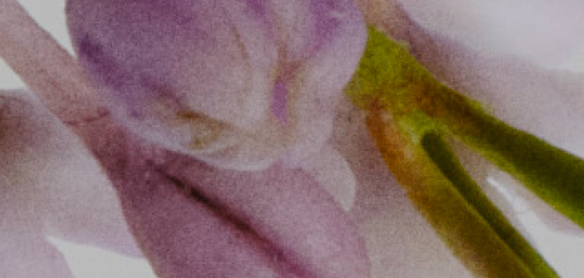 Fragrance