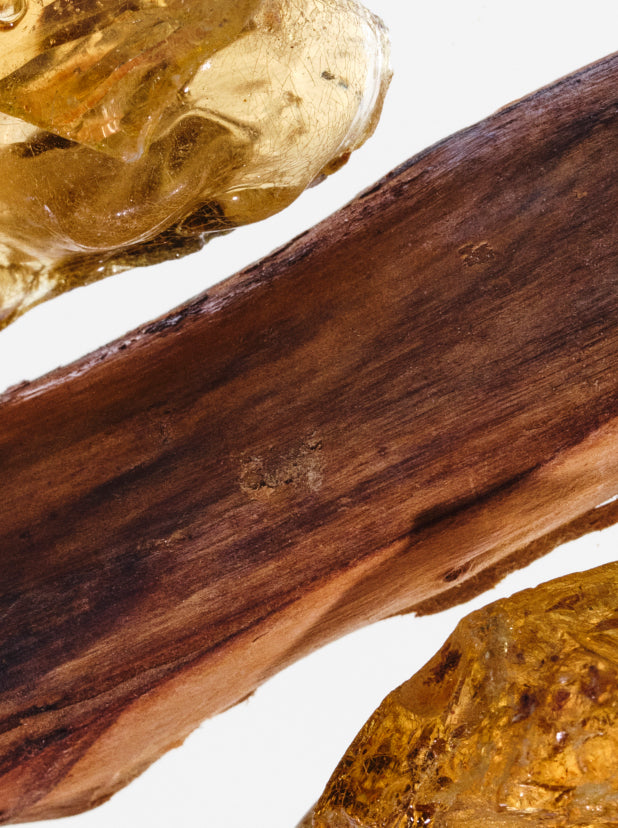 Wood & Spice