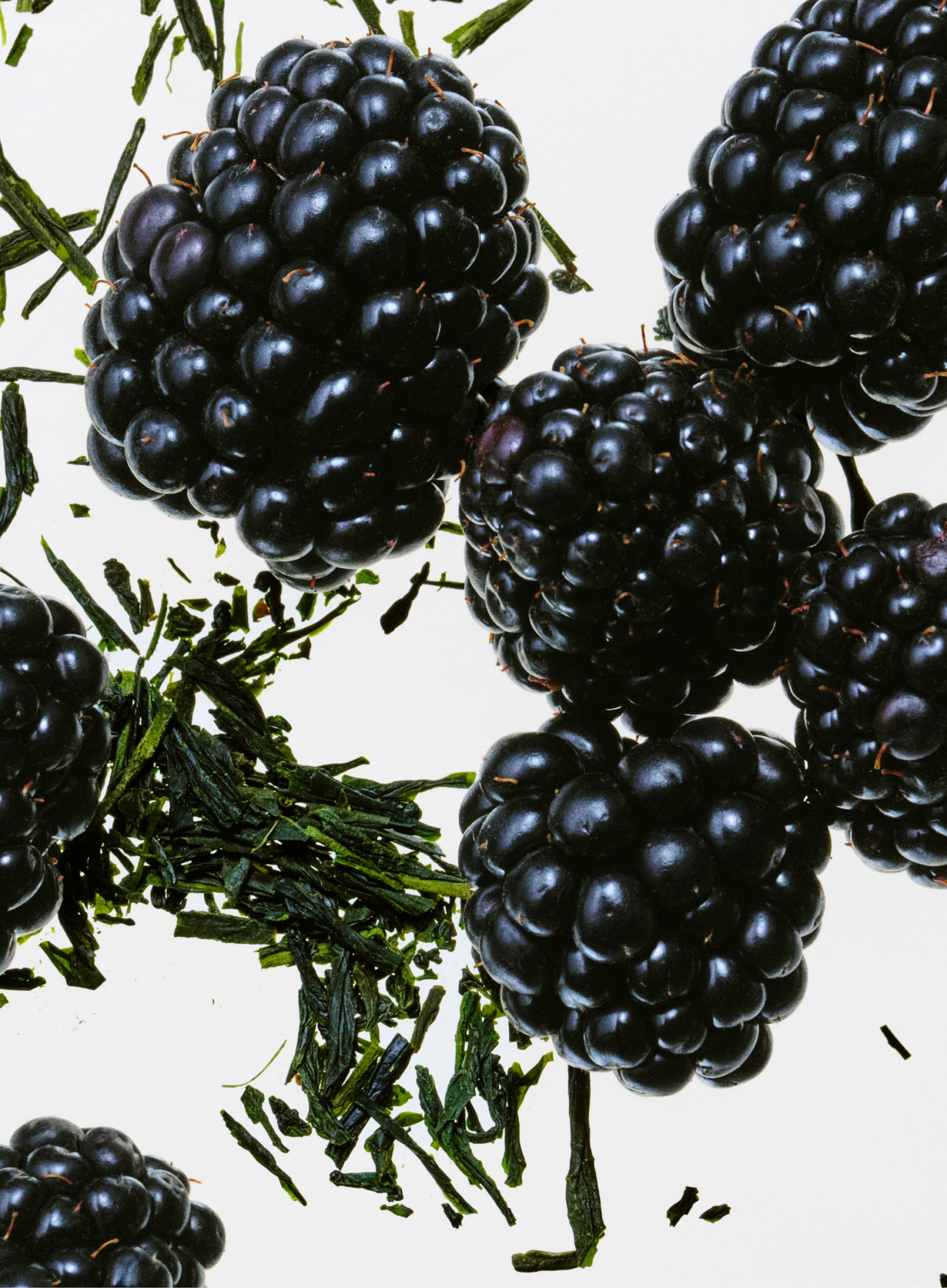 Scents you'll love