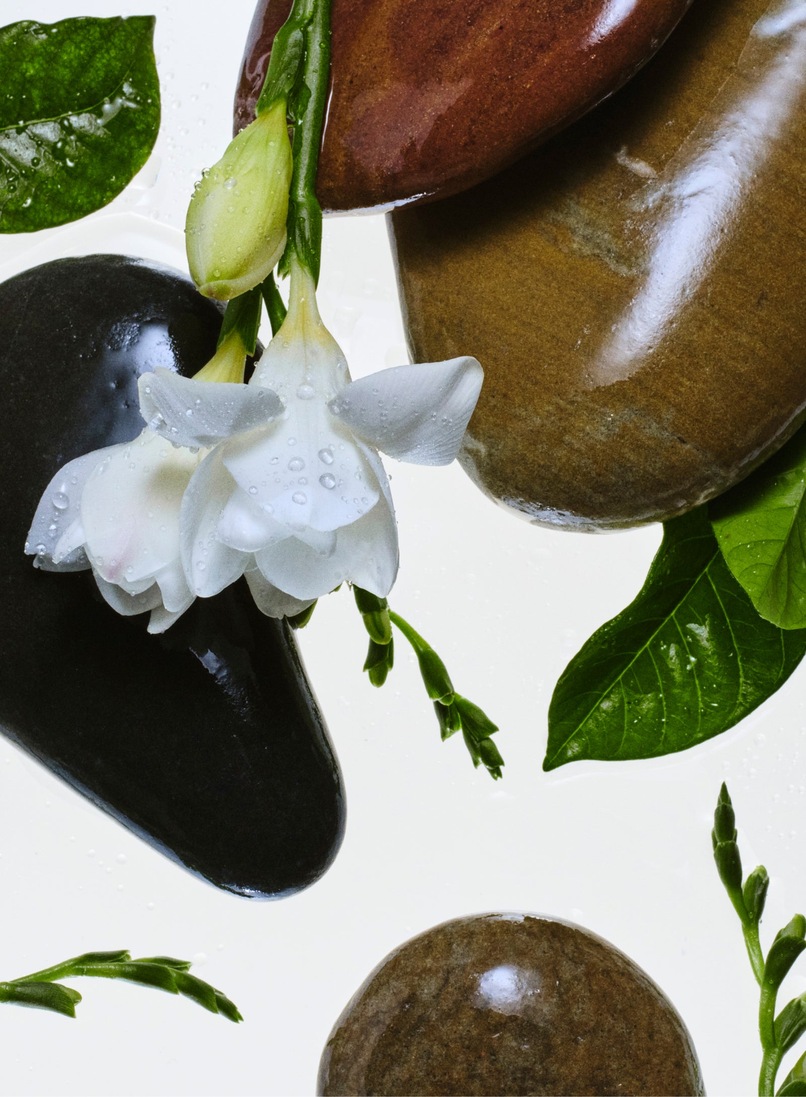Scents you'll love