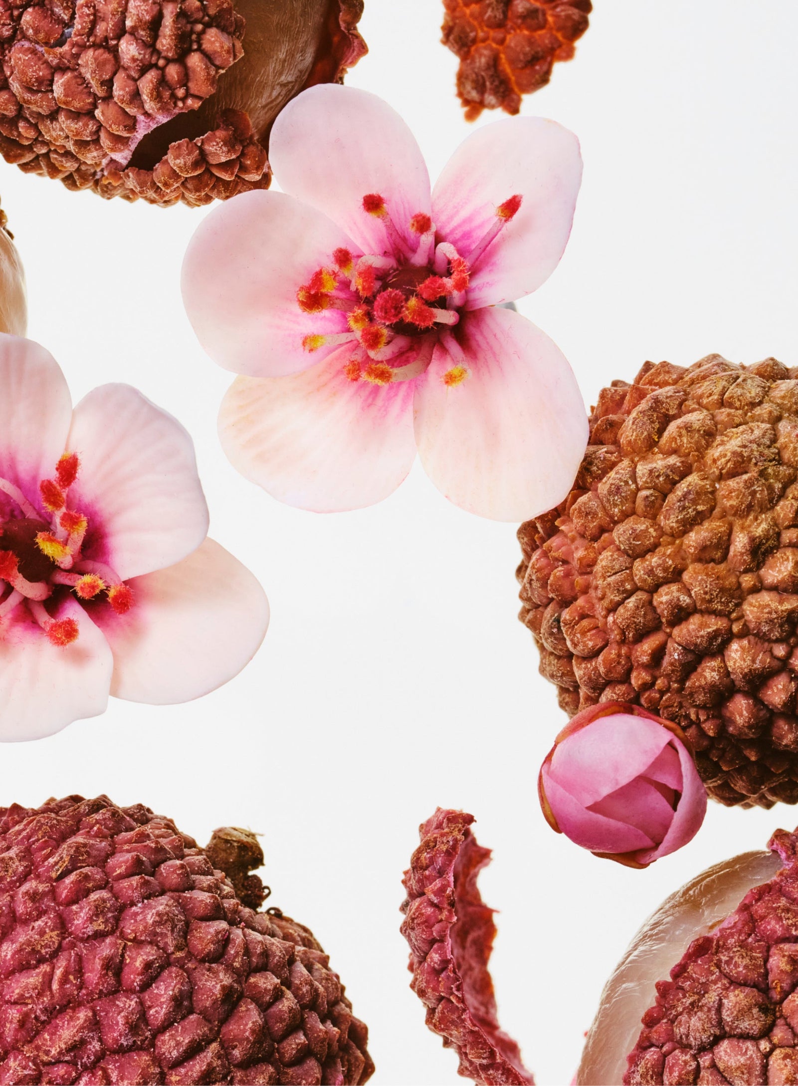 Scents you'll love