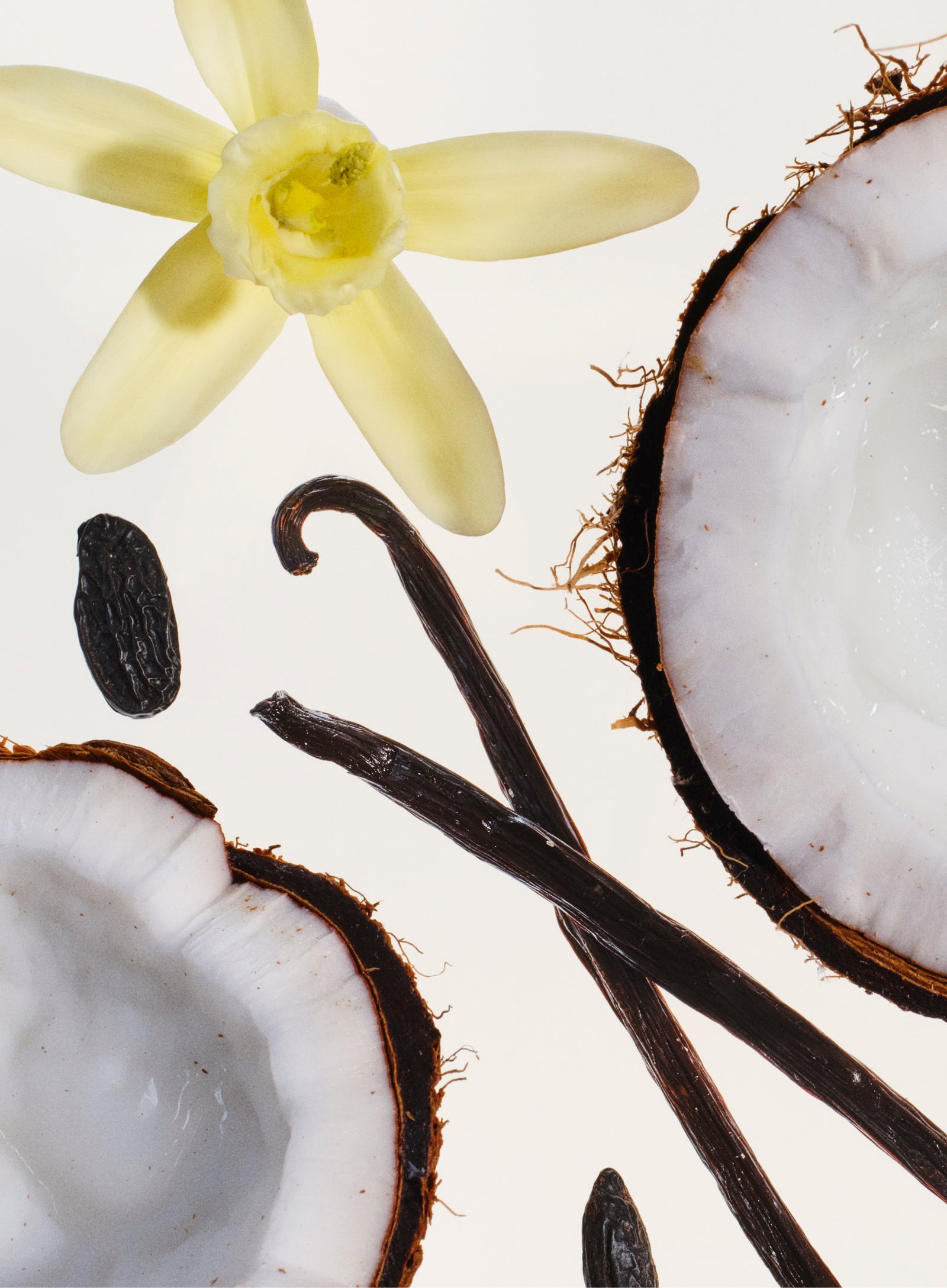 Scents you'll love