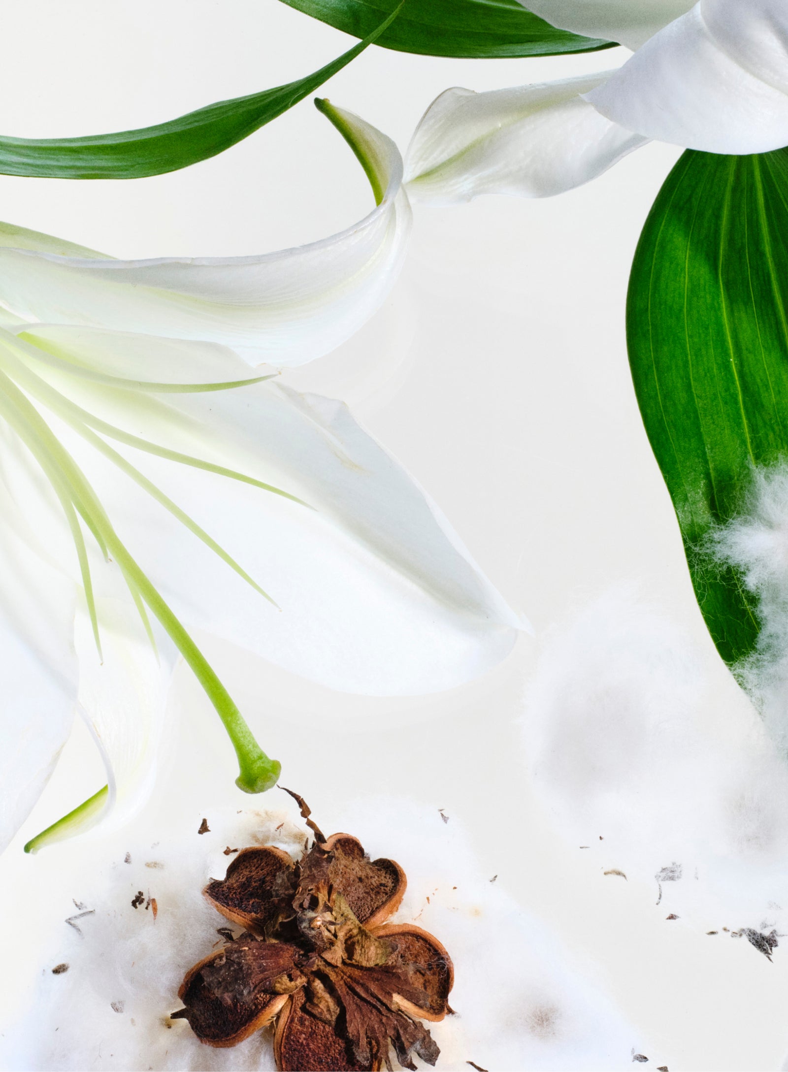 Sensitive Deodorant Stick