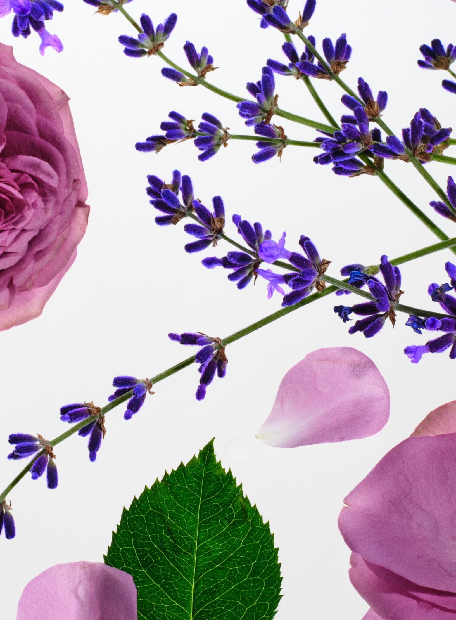 Scents you'll love