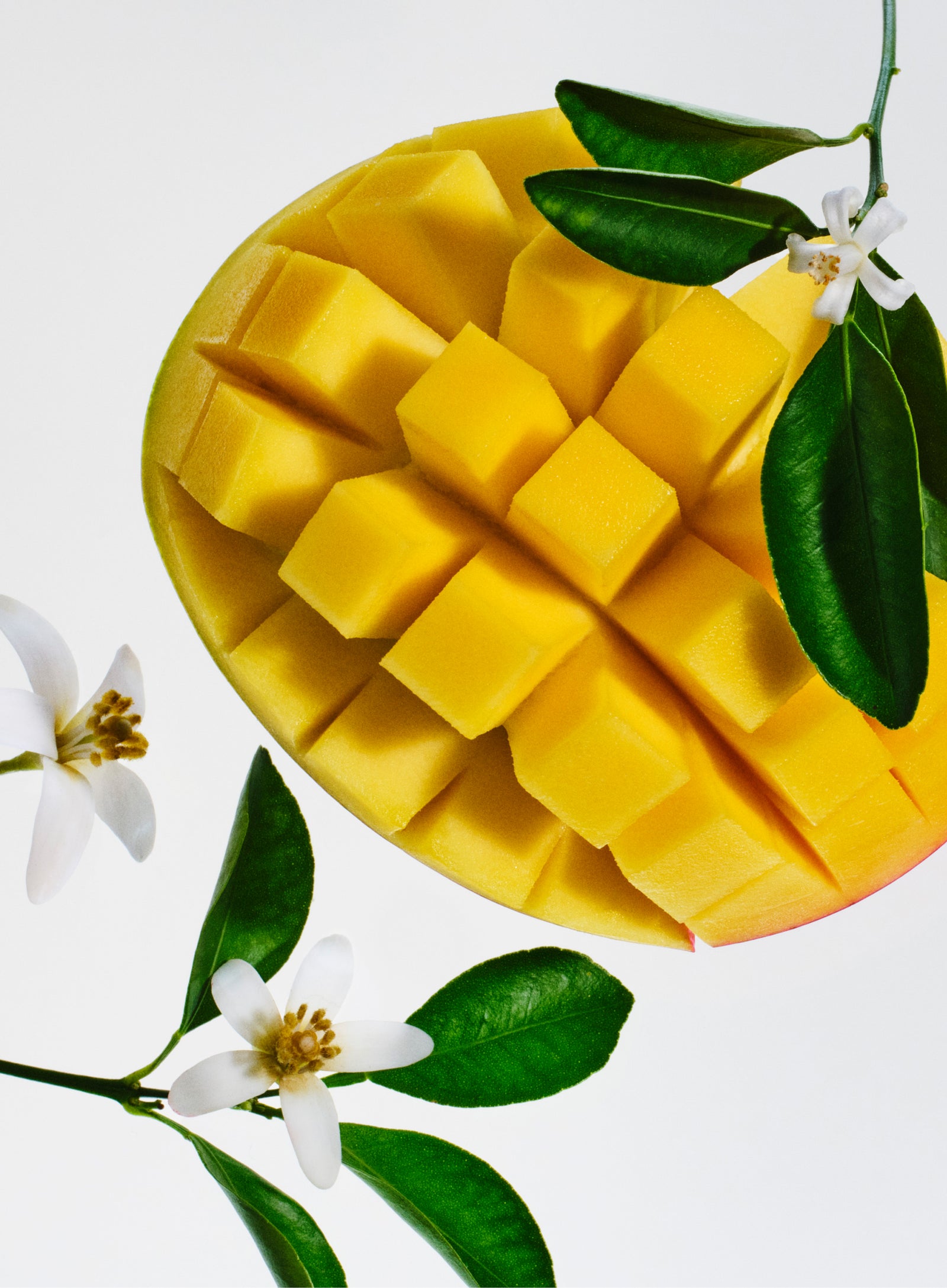 Scents you'll love