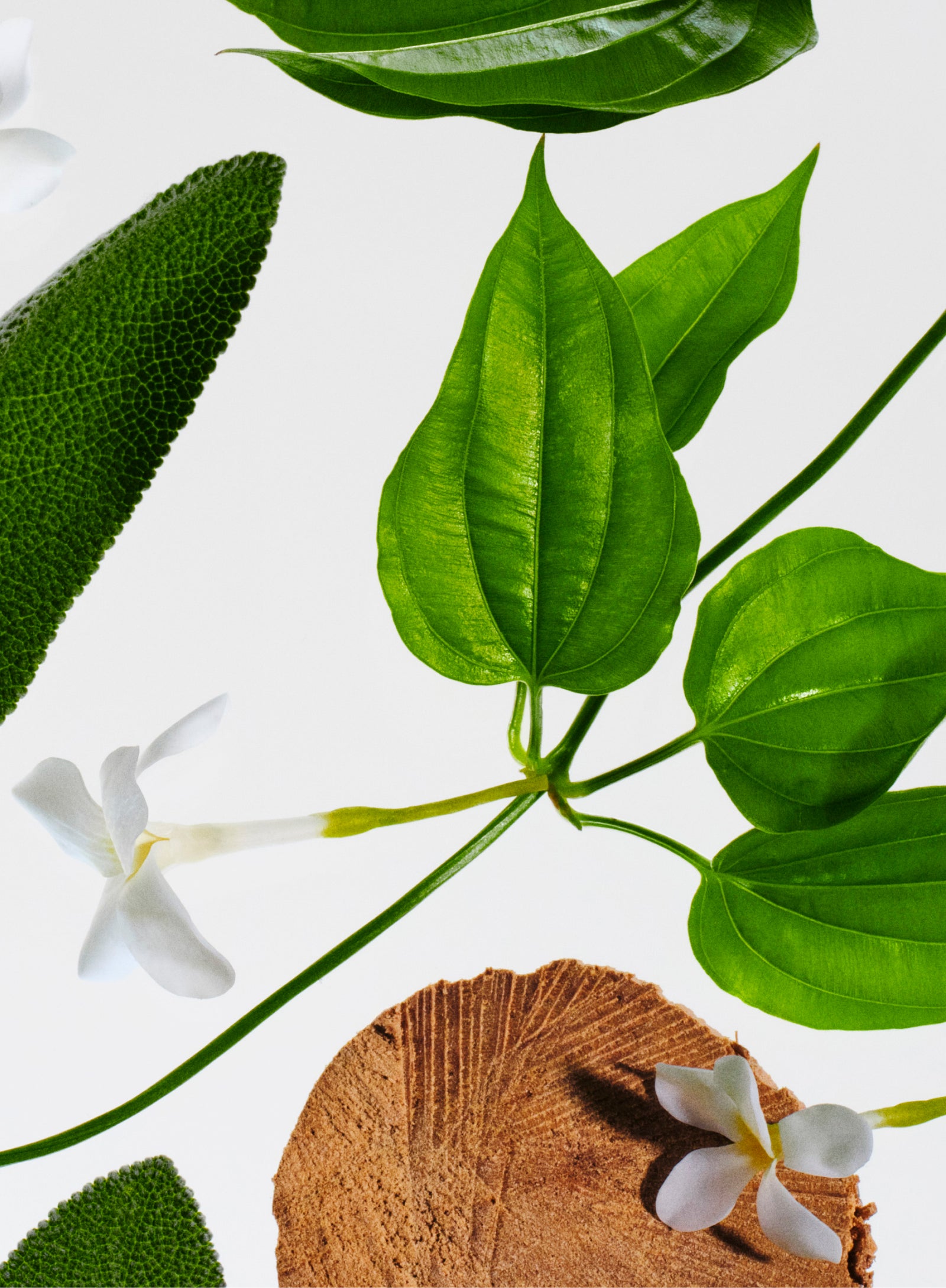 Scents you'll love