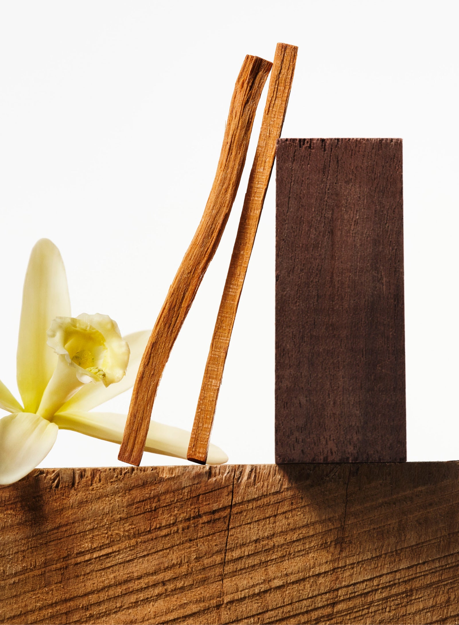 Scents you'll love