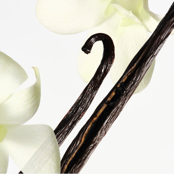 Bare Vanilla