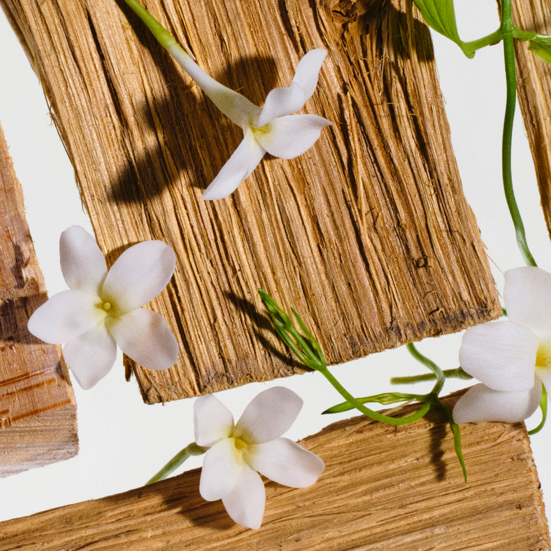 Cedarwood & Jasmine