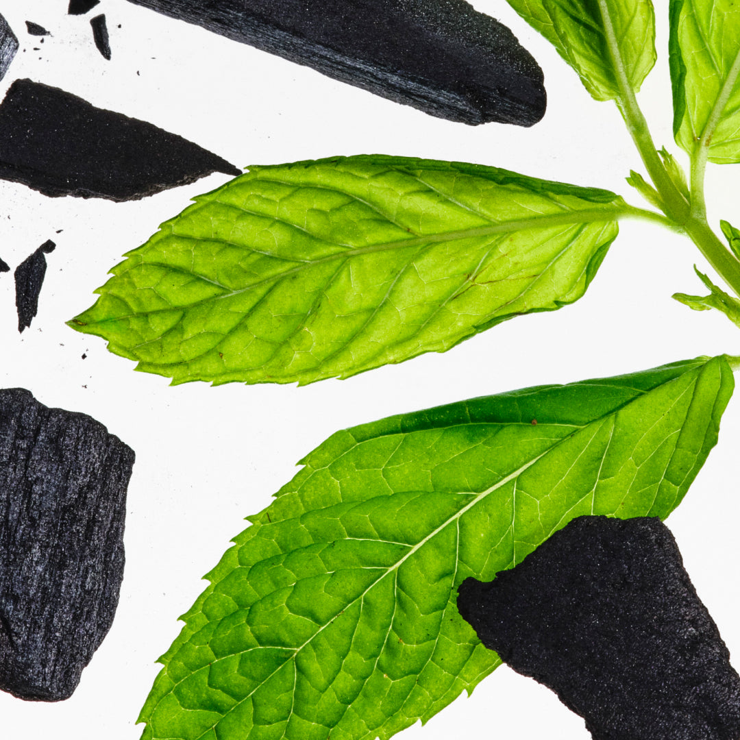Charcoal & Mint