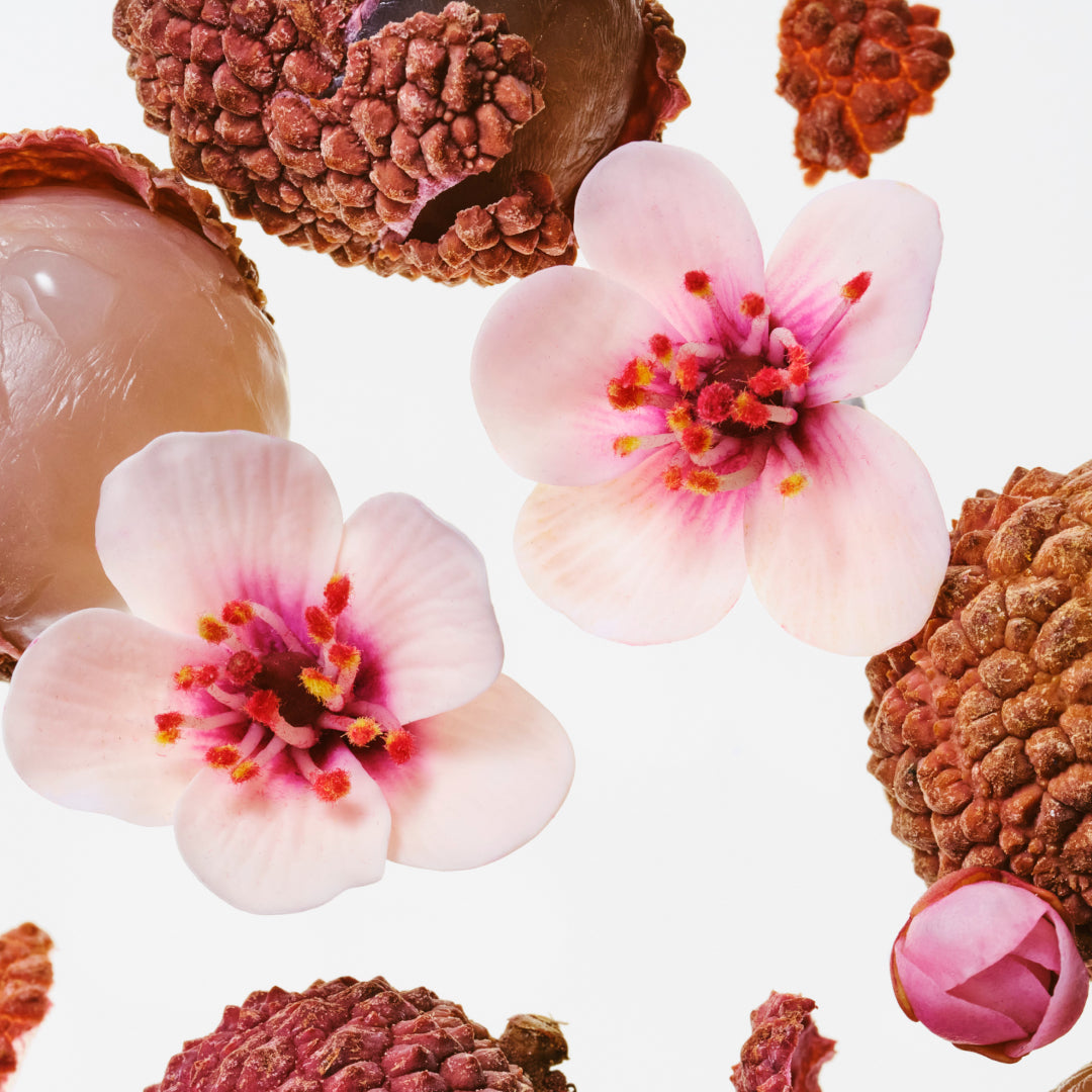 Cherry Petals & Lychee