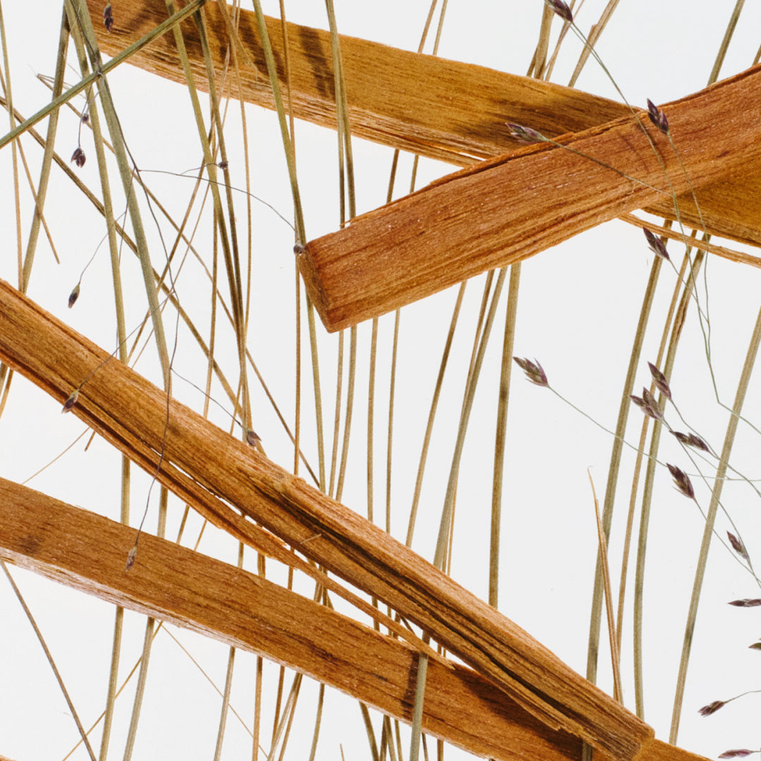 Desert Grass & Sandalwood