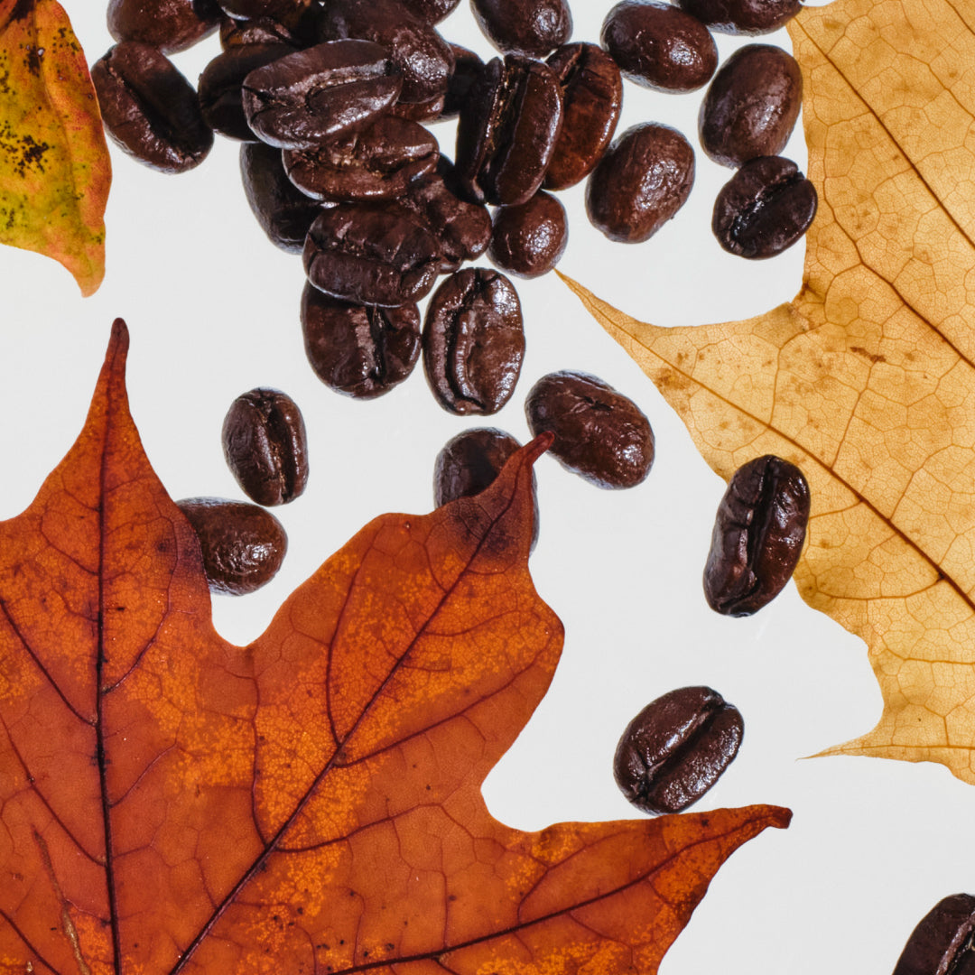 Espresso & Woody Maple