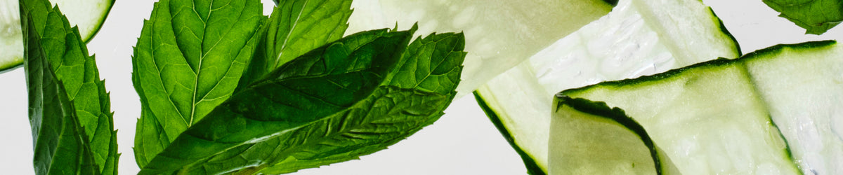 Fresh & Green