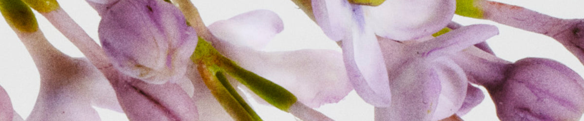 Soft & Floral