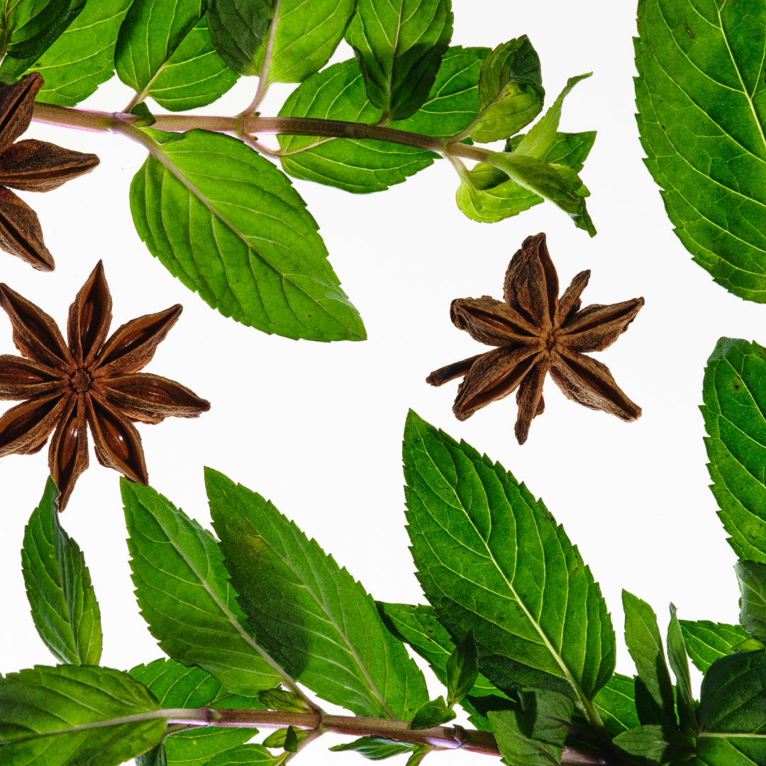 Peppermint
