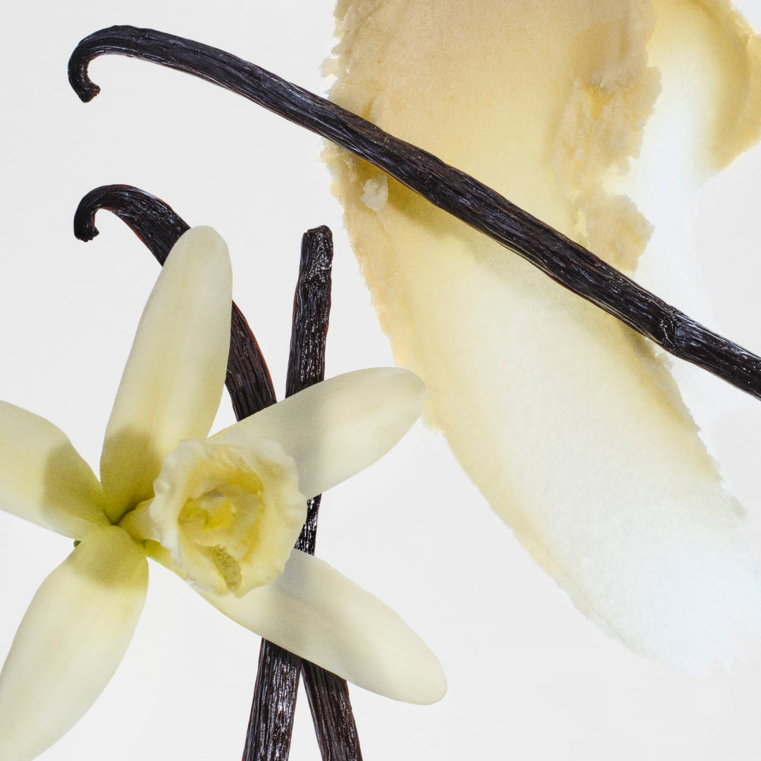 Vanilla Milk & Shea