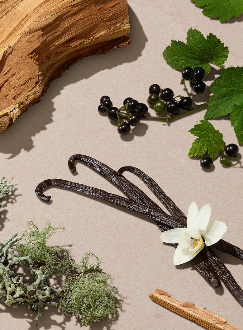 Scents you'll love
