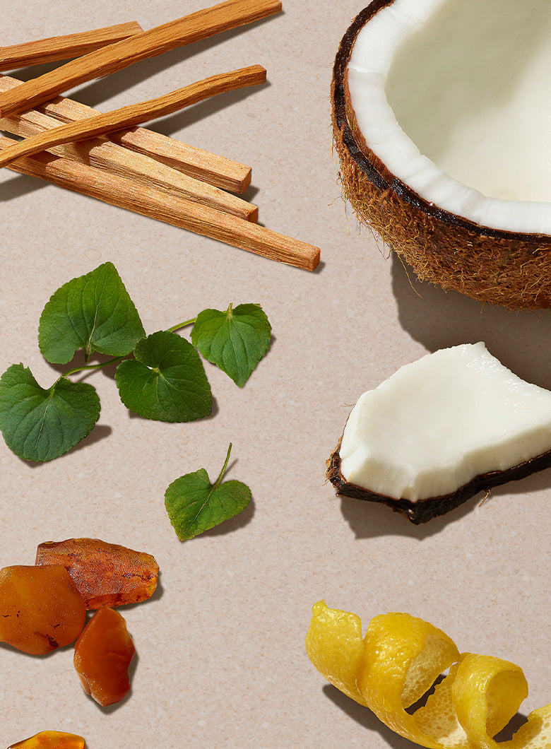 Scents you'll love
