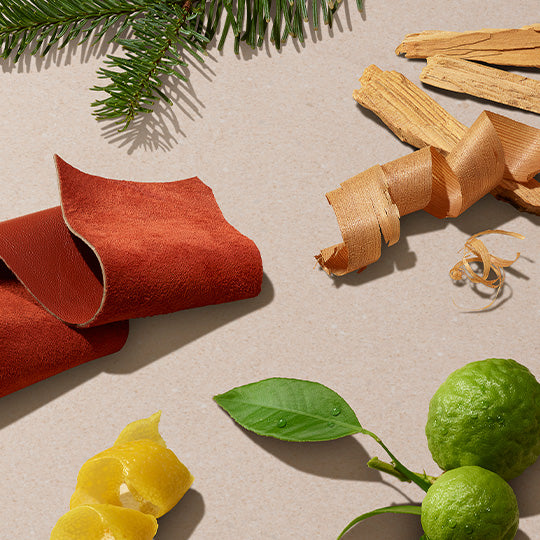 Sunset Cedar & Suede