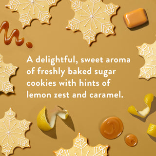 Detoxifying Body Scrub